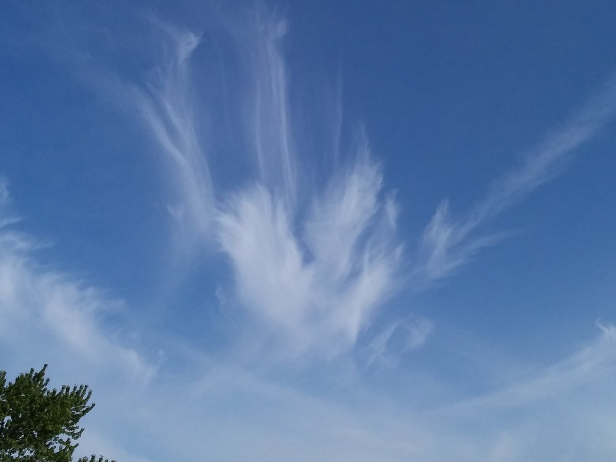 DonnaAdler5's tweet photo. Beautiful Angel Cloud in the sky this morning. #AngelCloud https://t.co/Rvy7VHNlaI