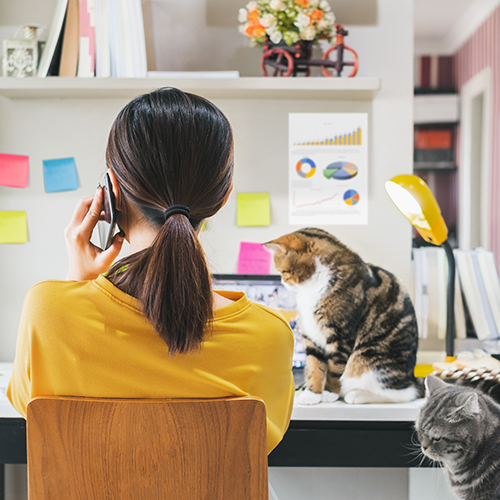 UniversitySA's tweet photo. Working from home has been extra comfy with the help of furry friends. But as we return to the office, will flexible work options remain? #UniSA's #cwexunisa researchers explain #FlexibilityIsTheFuture #FlexWorkFullLife #FWDay2020
https://t.co/JmcBUrDEsC https://t.co/pb2Q4QbR5k