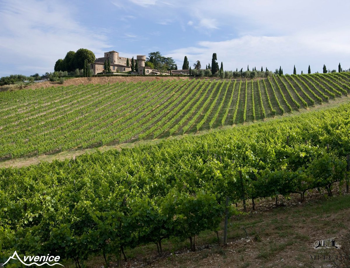 avvenice1's tweet photo. Discovering Avvenice Official Partner Castello di Meleto https://t.co/SVk3XsPSyt #castellodimeleto #meleto #meletocastle #italianwines #vini #viniitaliani #quality #avveniceselection #topquality #avvenice #doc #docg #bio #chianti #chianticlassico #chiantiriserva #toscana #tuscany https://t.co/V07zzERzls