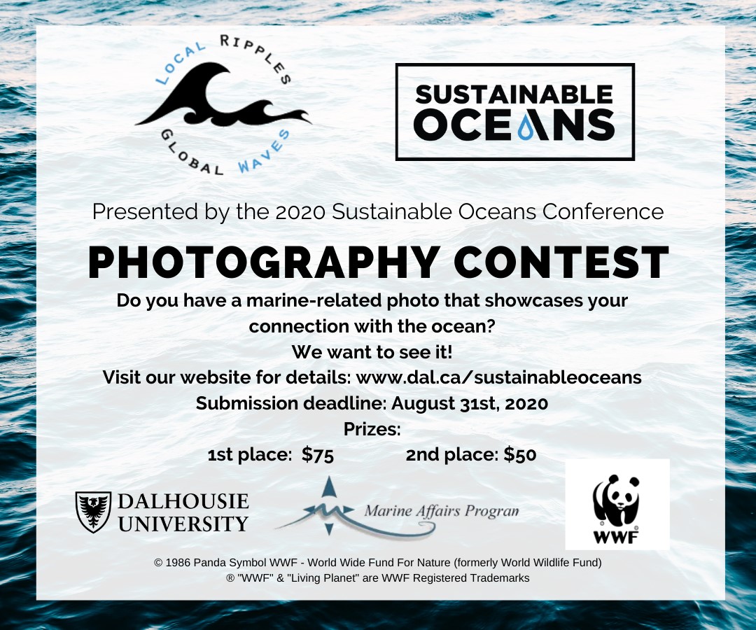 SustOceanConf's tweet photo. Calling all photographers! The Sustainable Oceans Conference photography contest is now open! Submit an ocean-related photo that shows your connection to the ocean for this year's contest!

#OceansWeekHFX #photography #ocean #sustainability https://t.co/mmYRh2e28O
