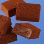 オンラインショップでロイズの生チョコ４種類が30日まで半額に。チョコ好きにはうれしいニュース。