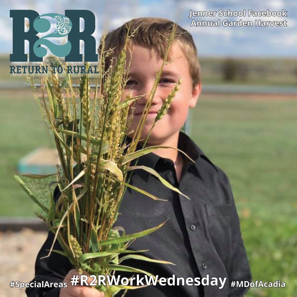 return2rural's tweet image. Jenner School is just one of the many places with job openings!
#R2RWorkWednesday #R2R #SpecialAreas #MDofAcadia #Alberta #Hiring #Return2Rural #WorkWednesday #RuralAlberta #Job #Jobs #JobSearch #Career #Rural #RuralJobs #RuralWork #AlbertaJobs

Photo From Jenner School Facebook