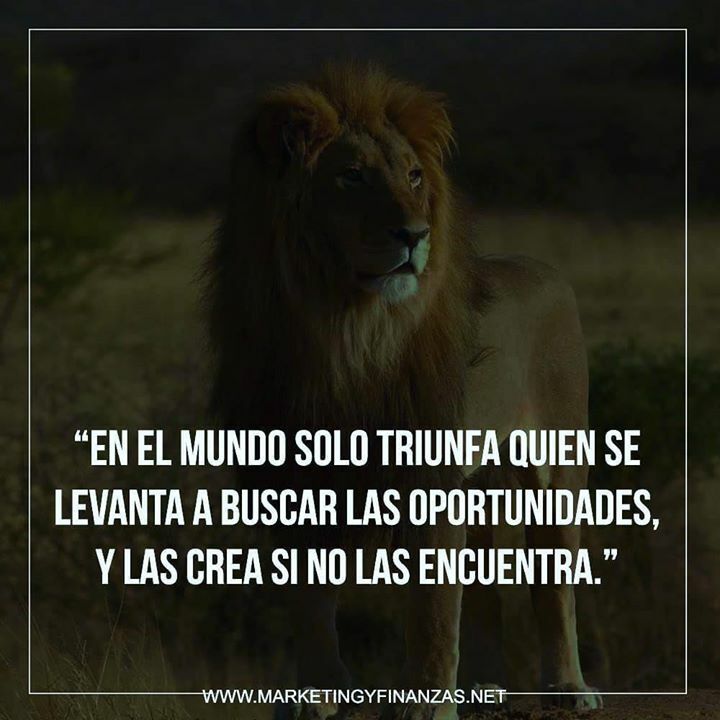 SoyEjecutivoF's tweet photo. Confía en tus proyectos y estudia con nosotros fiscal ☀️ . . . . #estratégia #estrategia #ganadinero #libertadores #estrategias #finanzas #libertador #libertadores2019 #dineroextra #riquezas #operacionlibertad #copalibertadores #libertadfinanciera #libertad #dinero #estrateg… https://t.co/M4wFVEP16F