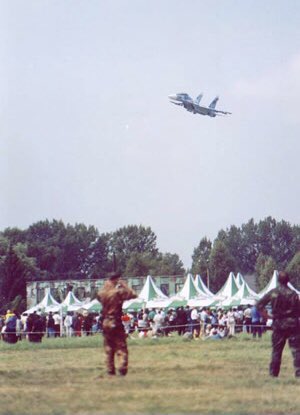 リヴィウ 航空 ショー 墜落 事故