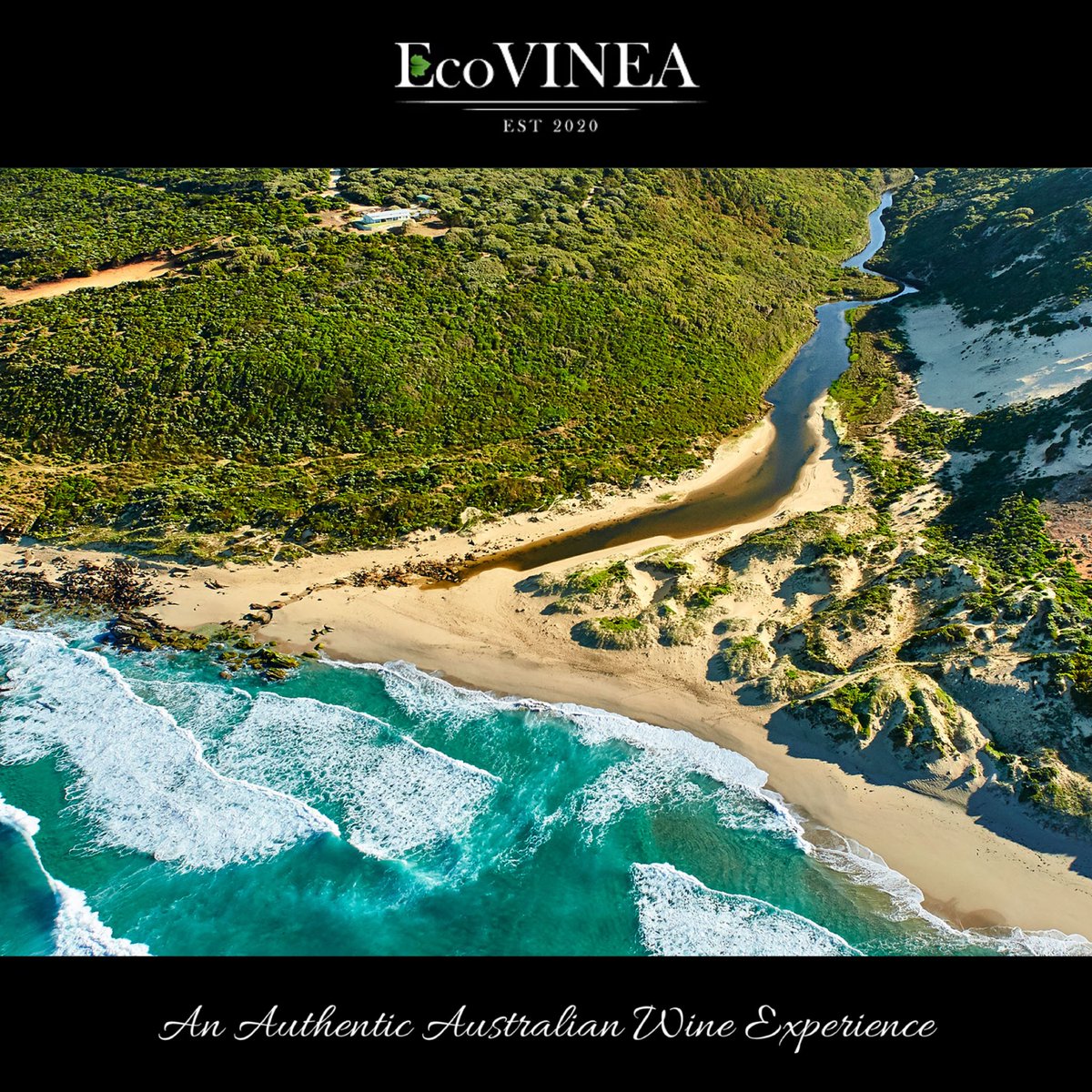 Margaret River in Western Australia is a wine region about three hours south of Perth that offers welcoming wineries set amid beautiful beaches. 

ecovinea.com