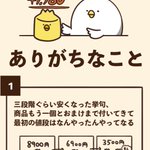 でぶどりちゃんのあるあるテレビショッピング編!買い物常連者必見‼