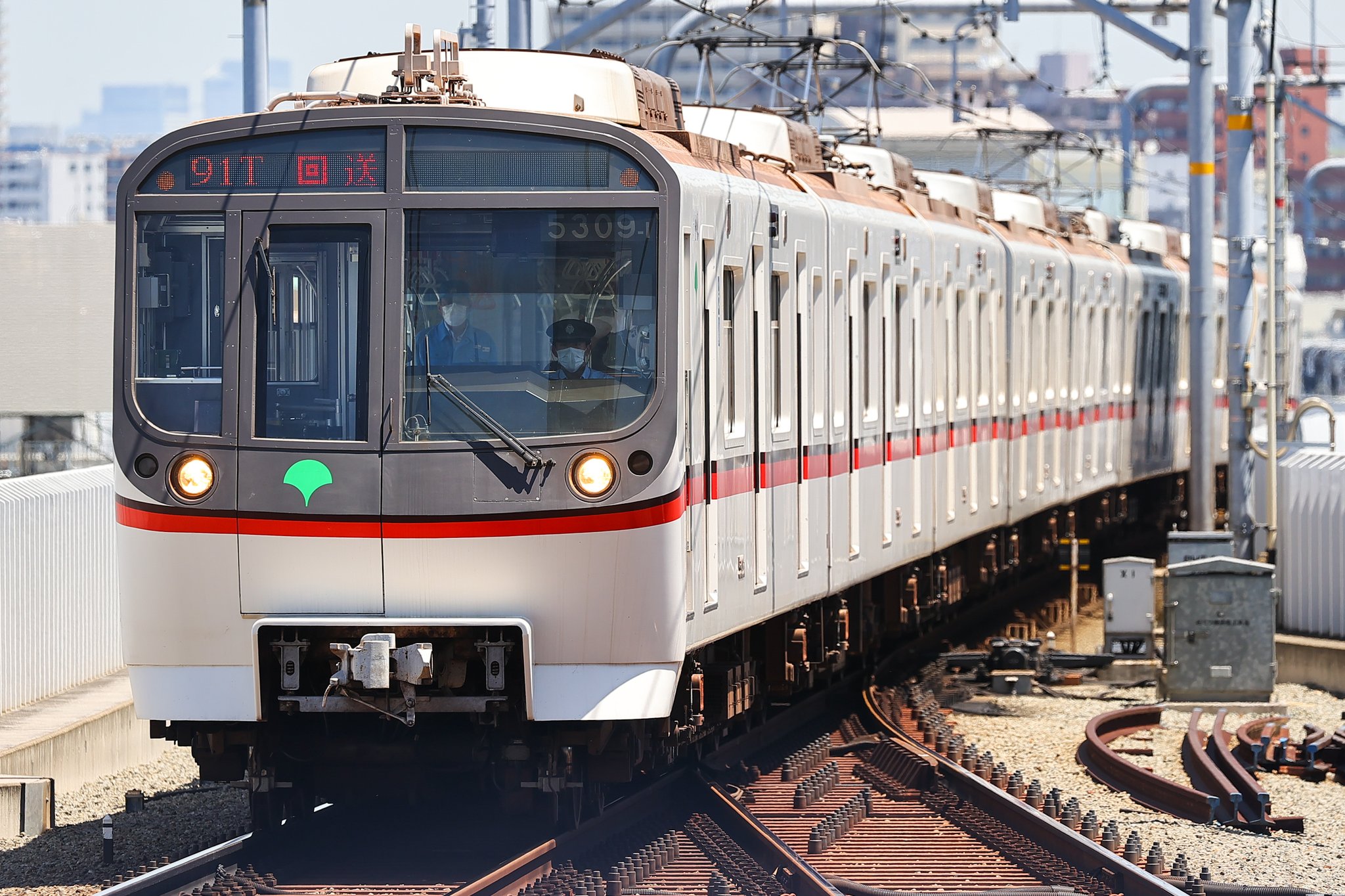 コリアグランドセール た ら ら ん🎵 على X:  米・雑穀・粉類