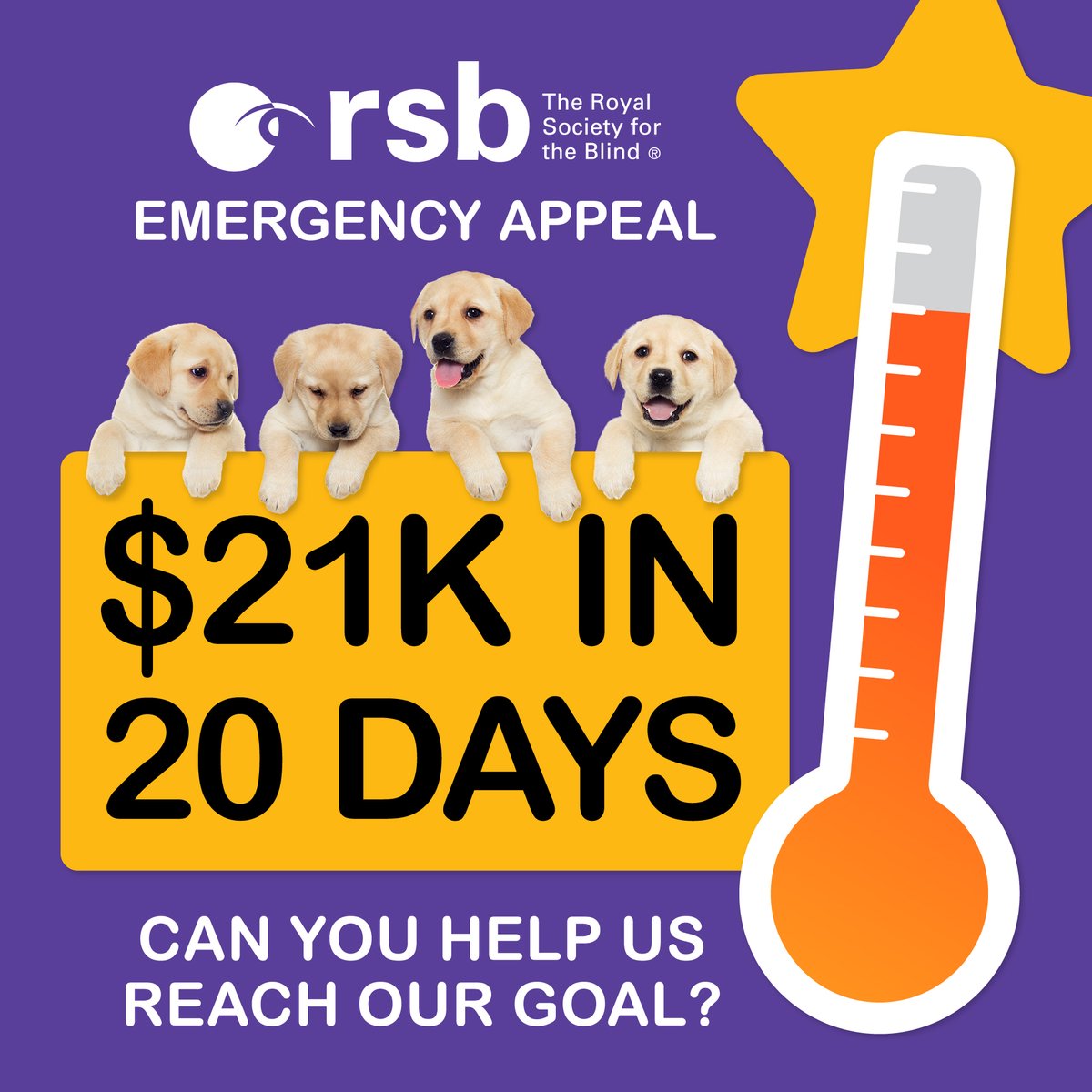 We are soooo close to reaching our goal! If you can donate, please click here: mycause.com.au/page/227203/ou…