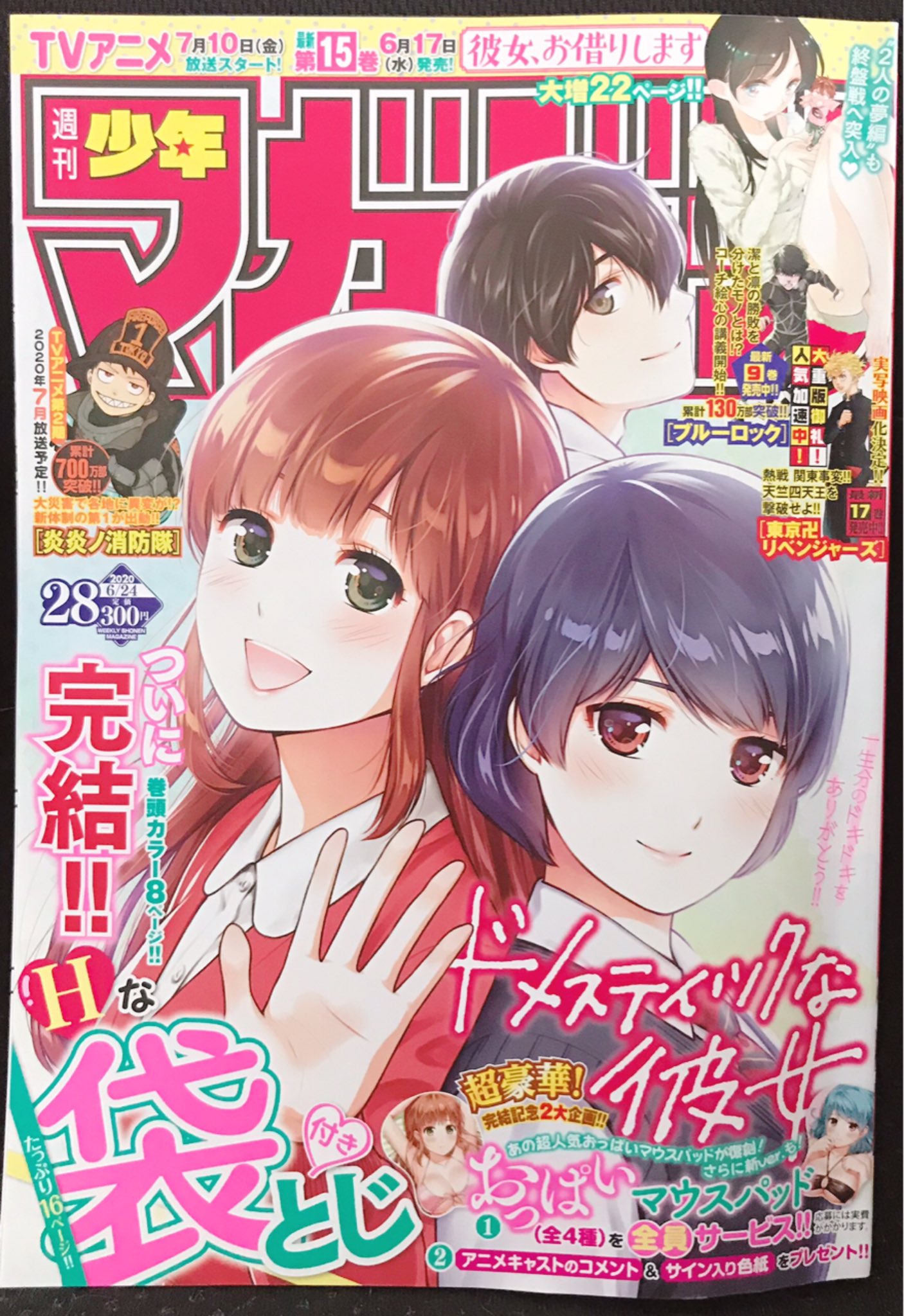 ドメスティックな彼女 マウスパッド 陽菜&瑠衣セット1 ドメスティックな彼女 おっぱい マウスパッド 瑠衣 ルイ 陽菜 ヒナ