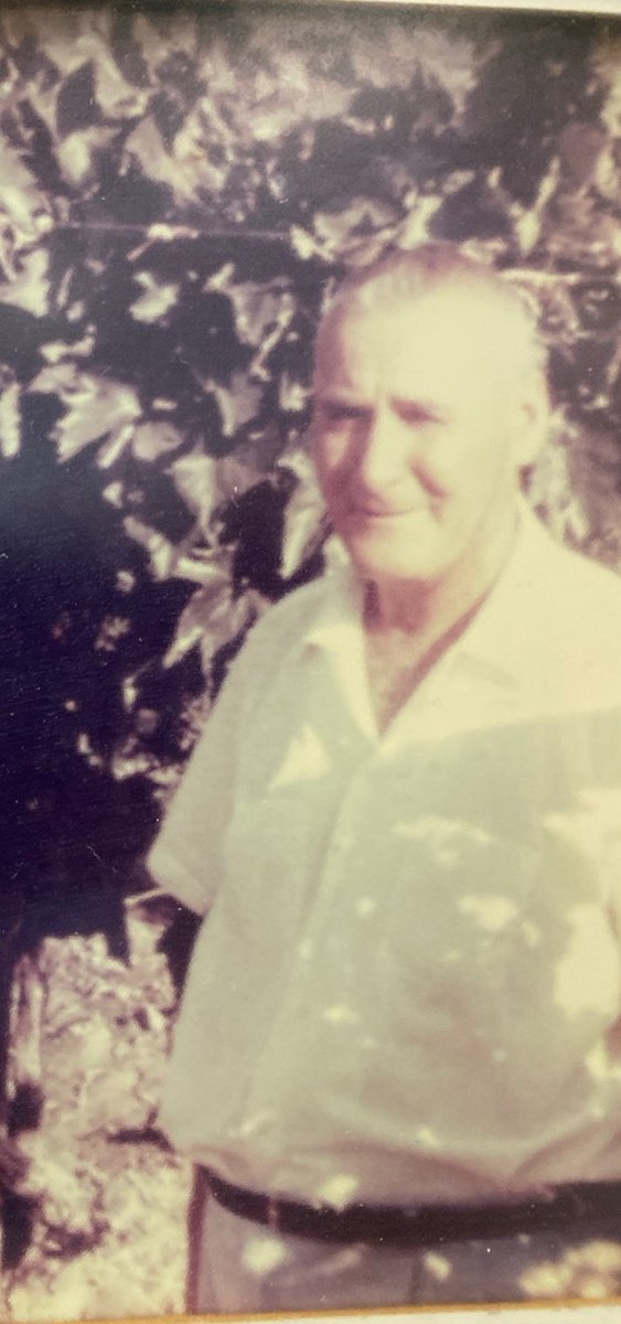 Way2Gro's tweet photo. Coachella Valley Grape Week Family Roots
Vladimir Tudor Sr. came to the US from Croatia in the 1930s to grow grapes.  Today 2nd, 3rd, and 4th generations are working in the family business.  #buylocal #grapesfromCA #buyCA https://t.co/DwCpI3oIjB