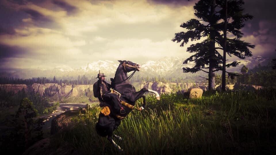 ranscangaming's tweet photo. "My Horse is more than just a Horse, he is happiness, he is a therapist, a best friend and most certainly born to ride."
#RedDeadRedemption2 #DeadAddicts #kNRT #RDR2 #photo #gamepic #B1GMATIC #WaveformGaming
#GamingPhotography https://t.co/CtlSzPrbDc
