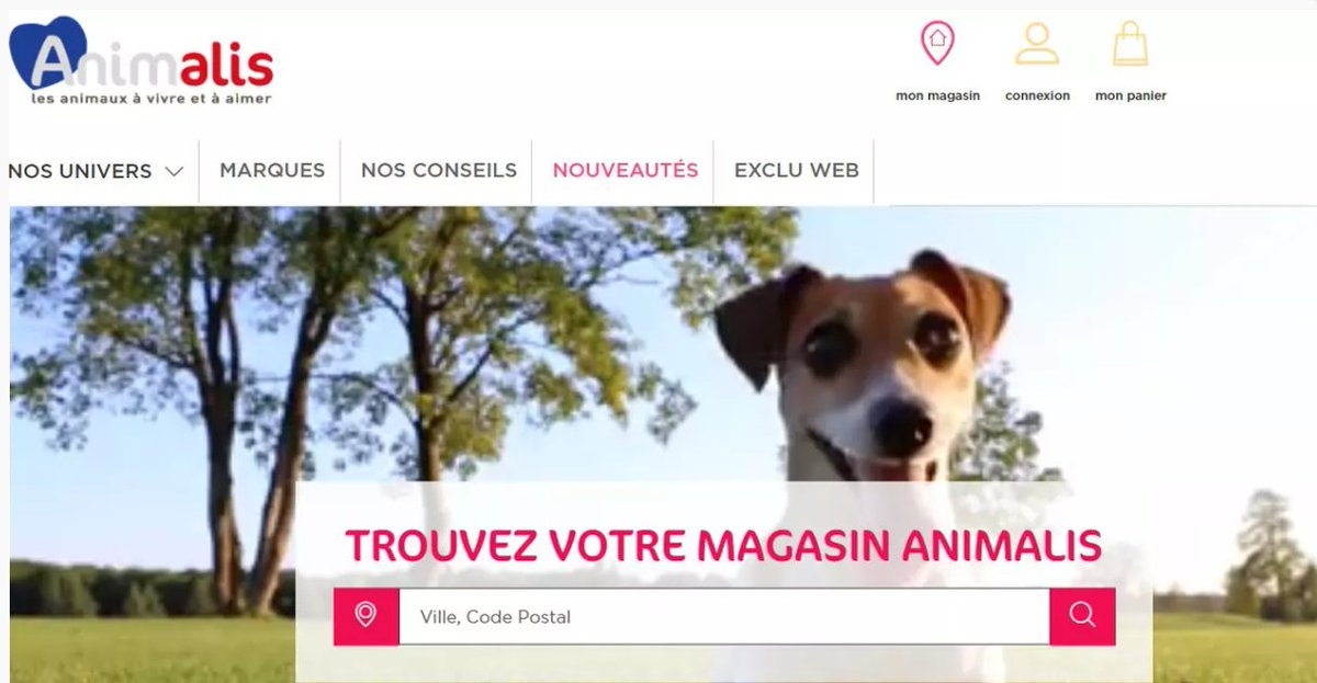 VailNina's tweet photo. Comment le #SEO local a aidé Animalis à faire décoller son activité, surtout pendant la période du confinement @JDNSolutions 
#TransfoNum #ecommerce https://t.co/da5FFUt1XX