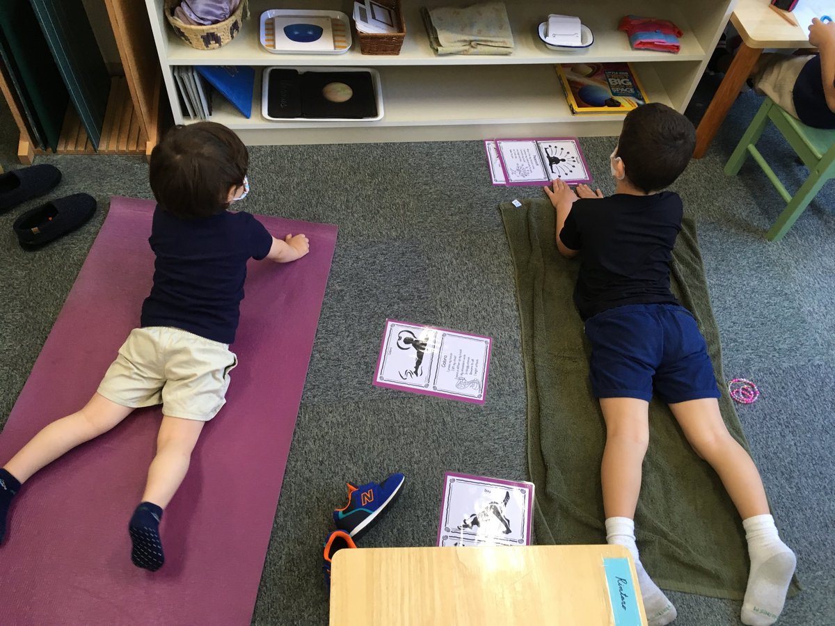 MSTokyoCedar's tweet photo. Mixed age social distancing yoga lesson #MSTsunshine #WeAreMST #MSTfollowthechild https://t.co/oh0yLlLr8e