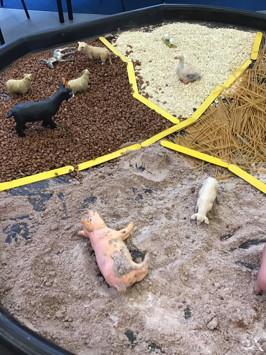 ChicksMPS's tweet photo. Our farmyard small world today 🥰 https://t.co/p7oVZZCjvH