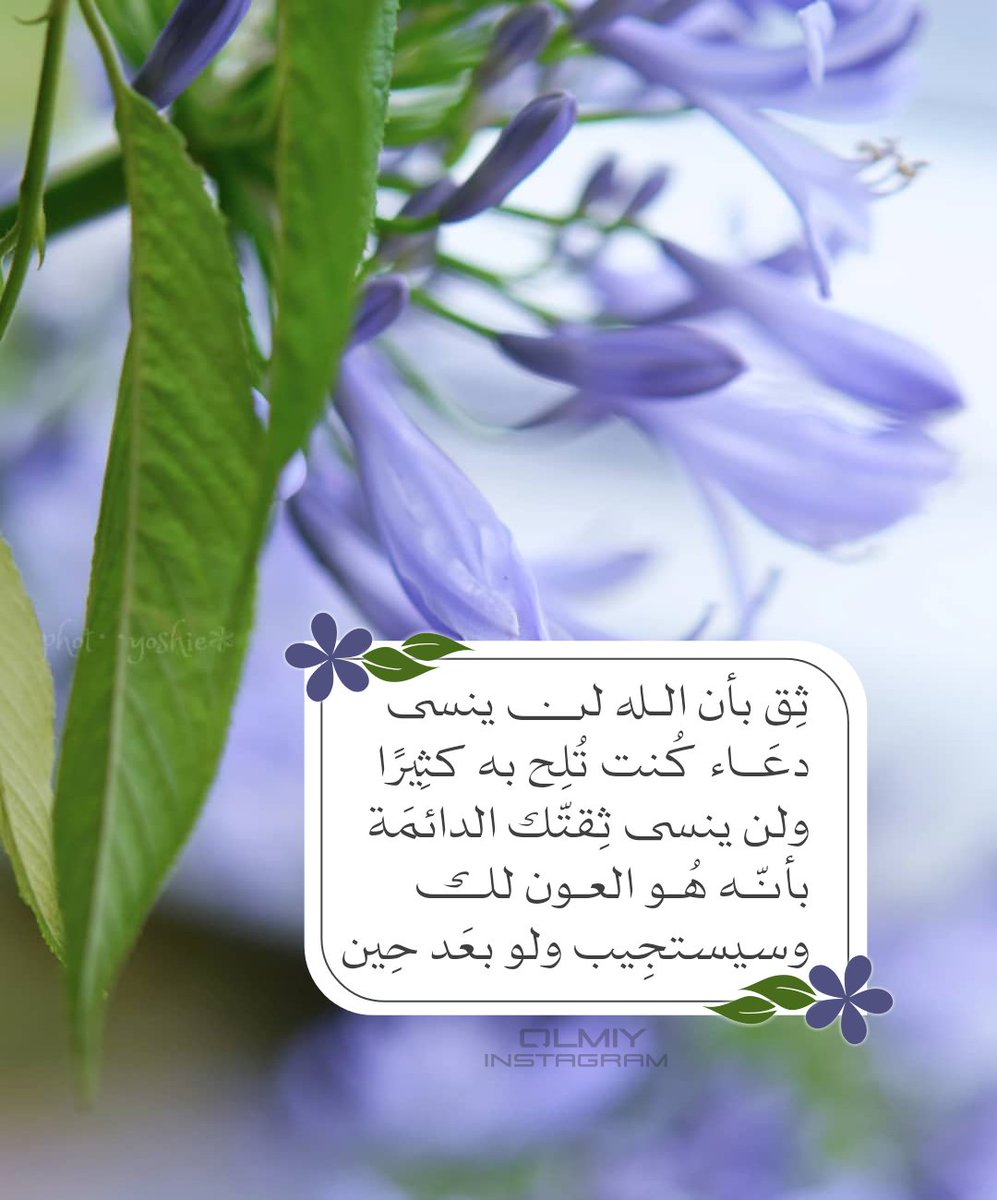 قلمي لخدمة ديني 🌸~ tweet media