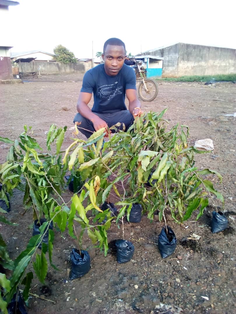 jcicameroun's tweet photo. Les amis de JCI Mbanga New Hope ont apporté leur contribution en plantant des arbres dans la ville éponyme en collaboration avec le CMPJ du @Minjec00237.

#IGreenCampaign 
#IgreenAME
#IGreenInCameroon
#IcareForThePlanet
#BridgeTheGap
#BackToBasics
#BuildingSustainably https://t.co/o7GfqtGwbL