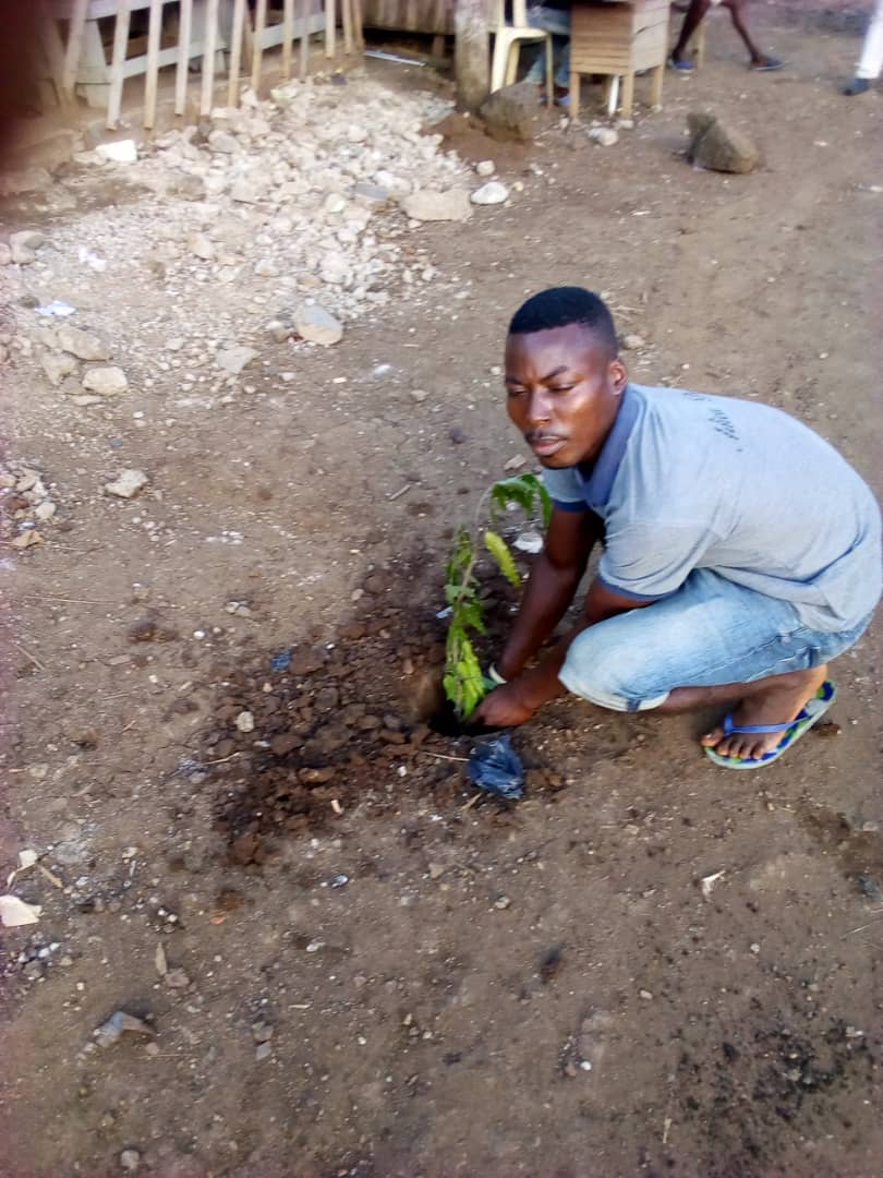 jcicameroun's tweet photo. Les amis de JCI Mbanga New Hope ont apporté leur contribution en plantant des arbres dans la ville éponyme en collaboration avec le CMPJ du @Minjec00237.

#IGreenCampaign 
#IgreenAME
#IGreenInCameroon
#IcareForThePlanet
#BridgeTheGap
#BackToBasics
#BuildingSustainably https://t.co/o7GfqtGwbL