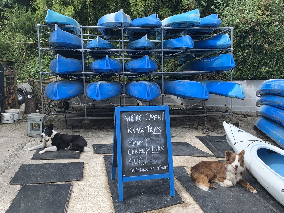 Covid Collies!  
Kayaking and social distancing is easy on the water but more challenging on land. Woody and Jake are now trained to strictly maintain the 2m rule at our Boatshed base. Those breaking the rules risk a serious licking! Daily tours now available. Join us if you can.