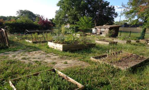 CollegeManon's tweet photo. Une photo de notre jardin pédagogique.
Il ne manque plus que 🌞 https://t.co/acH0rUrA6K