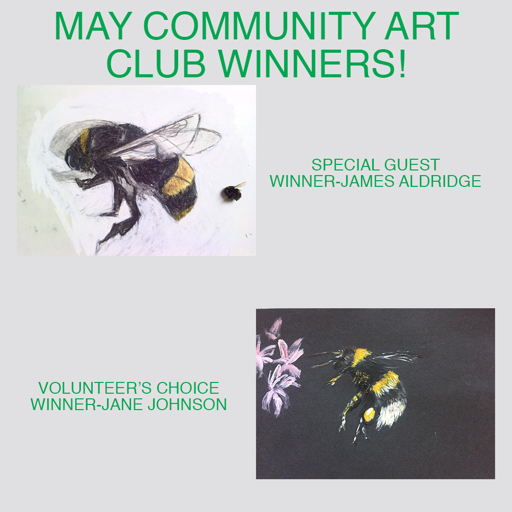 Andover_Trees's tweet photo. Congratulations to our May winners! 🌿
Thank you to everyone who entered and to our guest judge Alie Paxton (pictured here with her bees!). 🐝
The theme for June is WILDFLOWERS! ☺ The winners will get a pot of wildflowers for your very own garden!
#AndoverTrees https://t.co/5WxXu9ska7