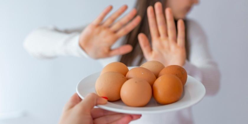 ClinicaNavarra's tweet photo. 🥚🍳El huevo es la segunda causa de alergia alimentaria en la infancia. Su prevalencia en España es del 2,6%
Hoy contamos con un tratamiento, inducción de tolerancia oral (ITO), para ayudar a superar esta alergia.
Lo cuenta @allergologyandb en @CuidatePlus
https://t.co/RxOVhJ3L8P https://t.co/Zk3e5GiFYt