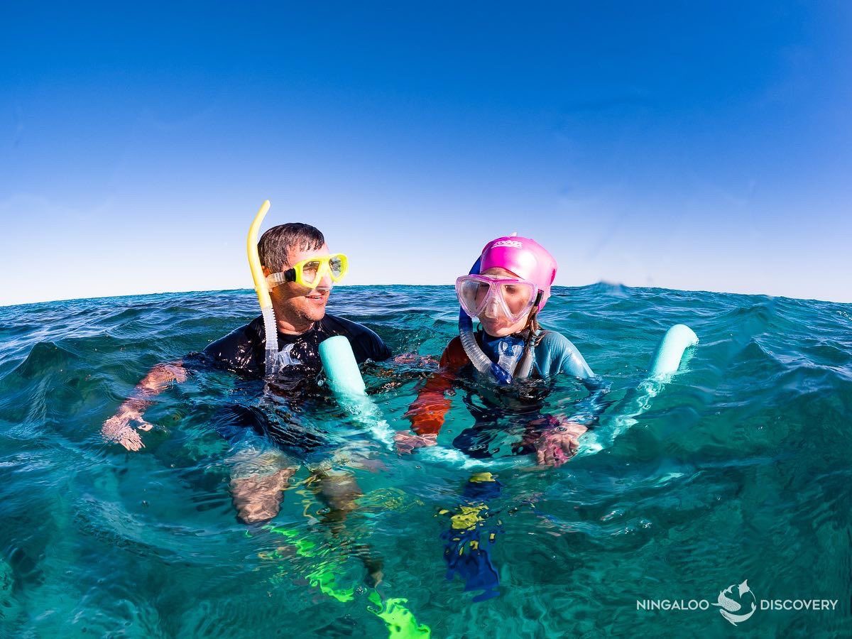 jess_ross_news's tweet photo. We had an unforgettable experience swimming with the whale sharks in the Ningaloo Reef. Thank you @NingDiscovery and for you patience with our little people #exmouth #driveWA @TourismAus https://t.co/nMjBkgXJmc