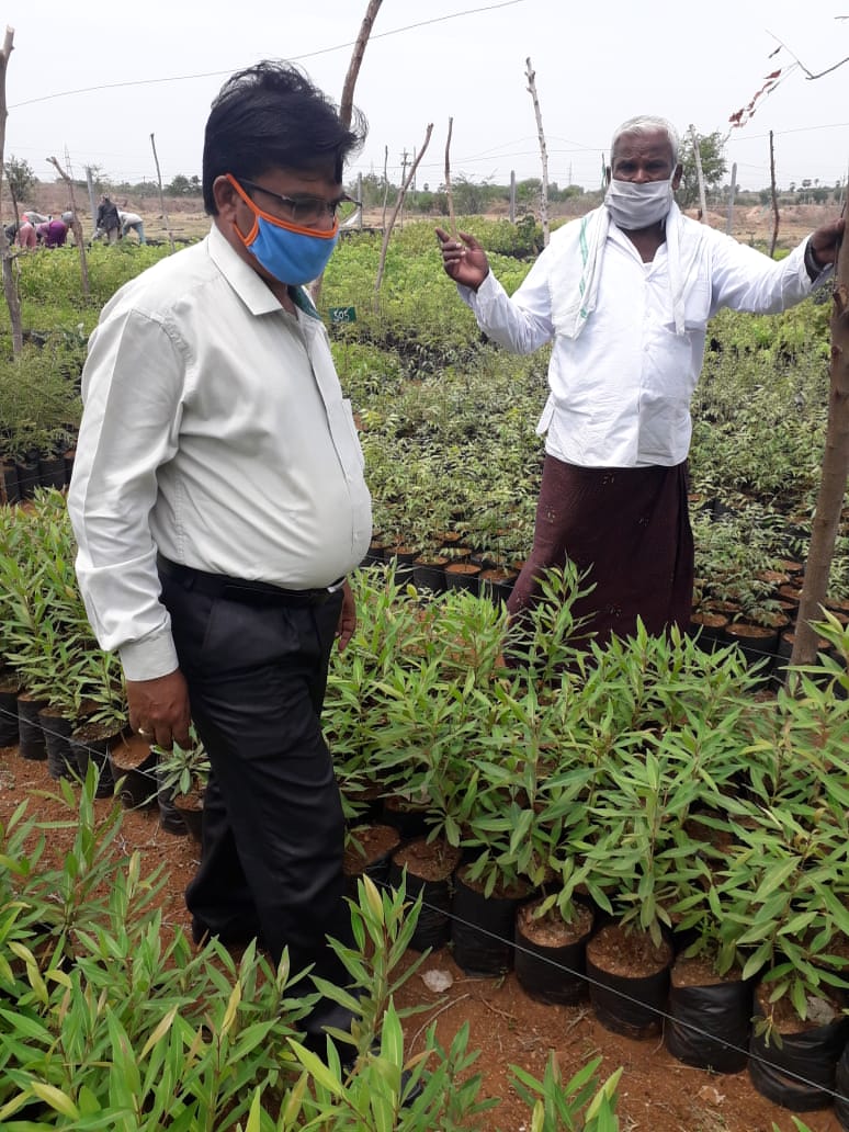 DPO_PDPL's tweet photo. Inspected GP Nursery, Crematorium and Dumping Yard at GP Lalapalli of Eligaid Mandal @Collector_PDPL https://t.co/I8dPMUfAAS