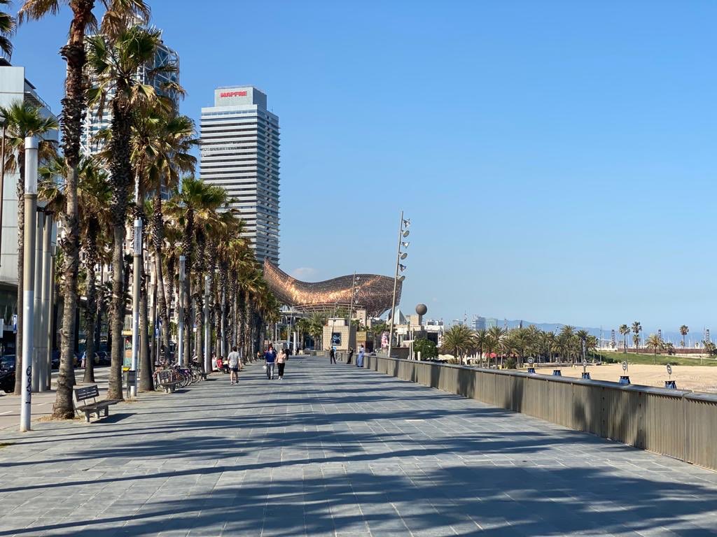 AlternativeBcn's tweet photo. Aren’t you excited to come to Barcelona and go for a stroll along the famous beach called “La Barceloneta”? 🏝 And if you fancy a Sangria, you can stop at one of the many beach bars🍷 and enjoy it under the sun and palm trees☀️😍 #labarceloneta #acyh #sangria https://t.co/CSDFztBrCW