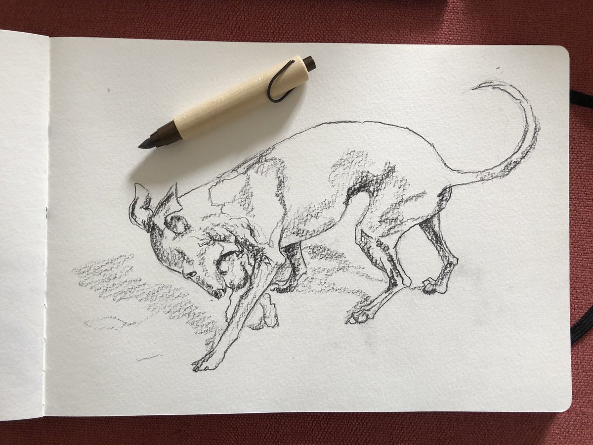 FionaThomsonArt's tweet photo. ‘Peedie with her birthday squeaky’ 🥰 A nice scribble-sesh with the 6B lead in the 5.6mm pencil this time! And not scratchy!! I couldn’t resist adding some colour and the graphite stayed put! 😄
#italiangreyhound #drawing #sketch #graphite #watercolour #iamdrawingabook #iggie https://t.co/0Kj54JuKLP
