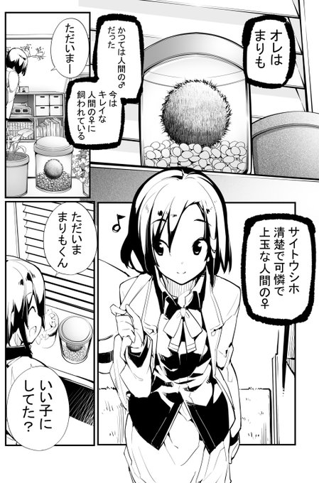 「見たいもの見せましょう」14話目 まりもに転生してた件 第2話
ヤングコミック7月号に掲載 
まりもになった男は女の子が部屋でしている本能的な行為を目撃。それは自分だけに許された特権だけと思っていた。しかし同じ部屋にライバルがいた。

ろくもんせんHP→https://t.co/BjS1Q2zWKL 