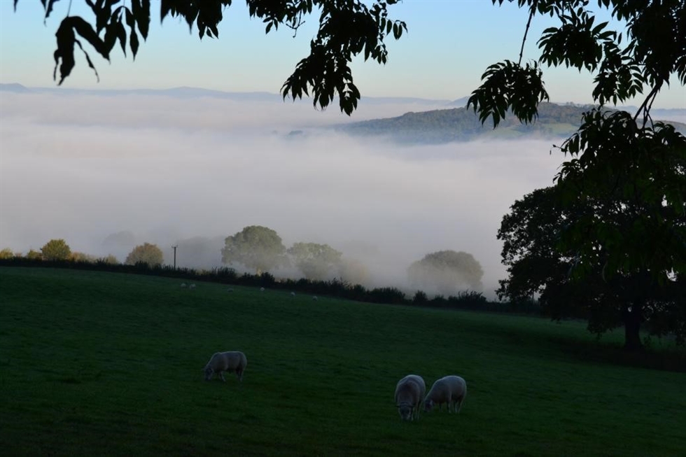 Geographical Association tweet media