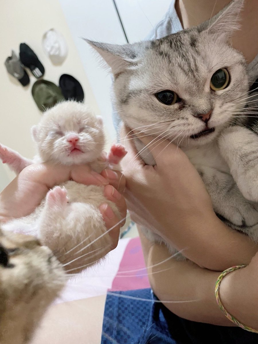 พี่เจ๋งน้องเตี๋ยวไม่ตีกันสิลูกกก tweet media