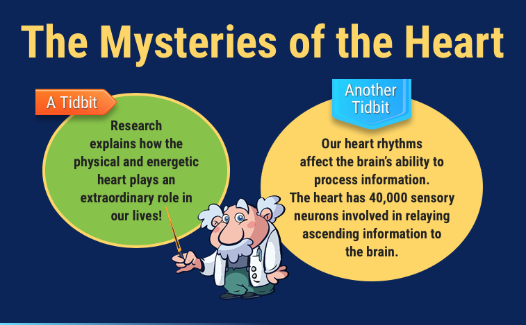 InfinityCoachi4's tweet photo. #mysteries #heart #tidbit #research #physical #energetic #extraordinaryrole #heartrhythms #brain #processinformation #sensoryneurons #ascendinginformation https://t.co/cKRwLsmKJh