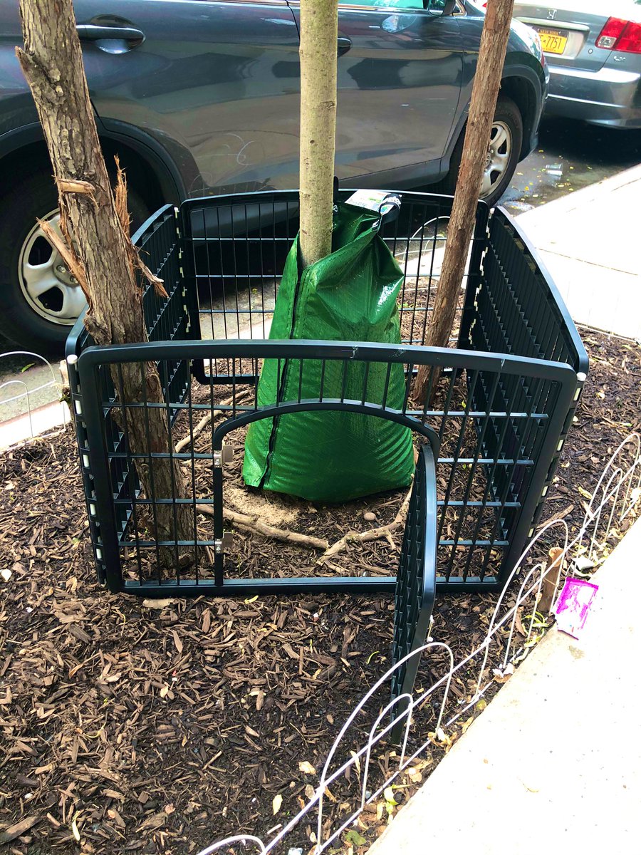 you’ve made it to the sorting hat