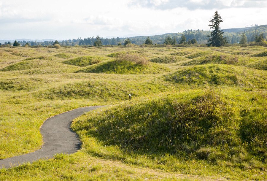 mariafurtney's tweet photo. A #geology vs #biology mystery:
#Mimamounds are circular, small hills of soil and gravels roughly the height of a person and as wide as 40 feet. They are densely populated, with hundreds to thousands occupying an area the size of a small airport near Olympia, WA. https://t.co/IYk4mg0LrH