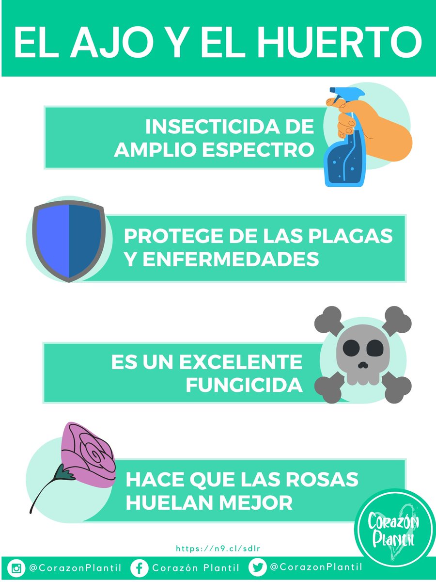 Corazón Plantil (@CorazonPlantil) / Posts / X