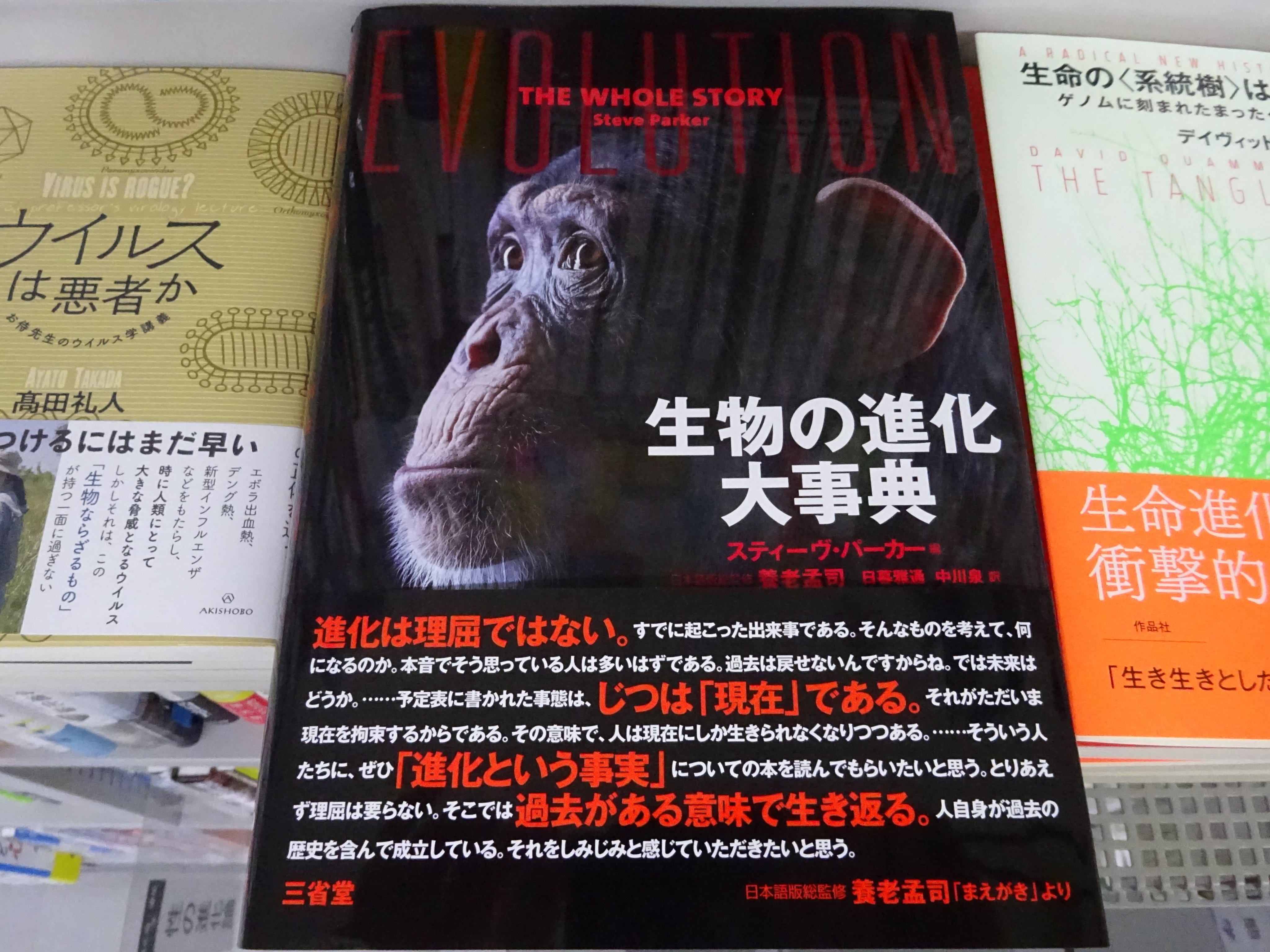 精文館書店 本店3ｆ スティーヴ パーカー 編 生物の進化大事典 三省堂 入荷しました 生物の進化史をオールカラーで俯瞰できる事典 最古の生命から現生人類ホモ サピエンスまで 美しい図版 化石 復元図 復元骨格 や生態写真でわかりやすく