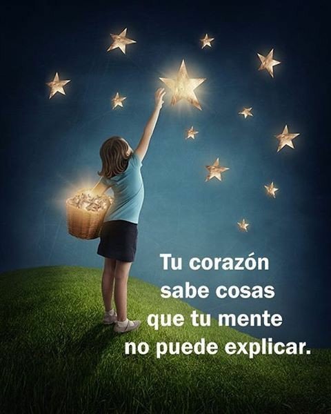 c_marimer tweet picture