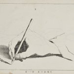 main image of this resource
