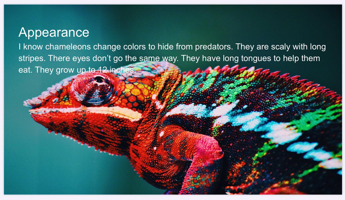 GibbKelli's tweet photo. I am so excited with the research projects you’ve been submitting. Check out the amazing work that has come into Google Classroom so far this week. https://t.co/bMcul1rzUt