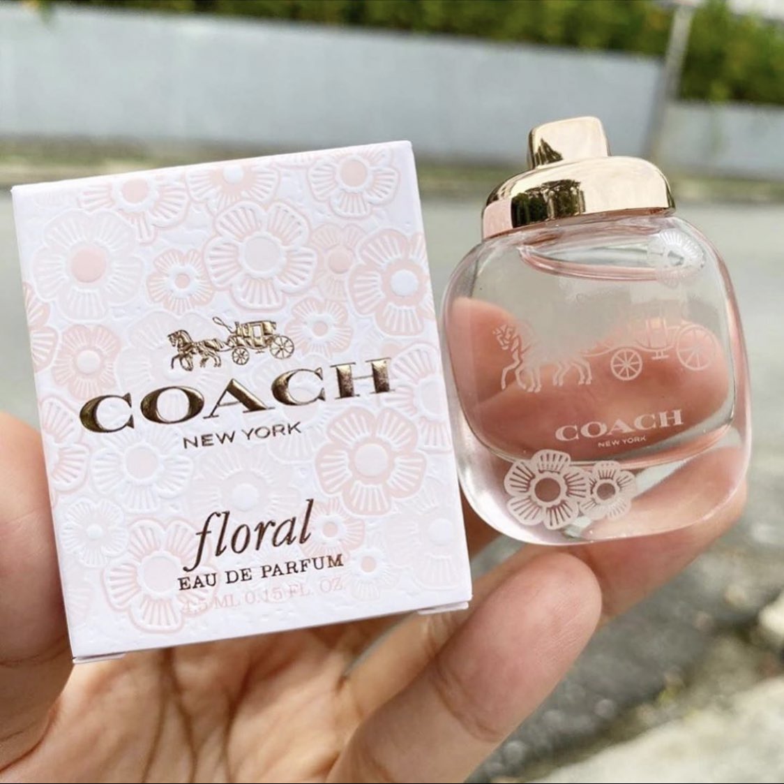 Marina Dandy On Twitter Kalau Nak Tgk Dari Top 3 Paling Banyak Orang Beli Ni Haa Coach Floral Memang Sedap Sangat Sangat Sangat Buat Yang Suka Bauan Floral I Pernah Nampak Nabellaanuar