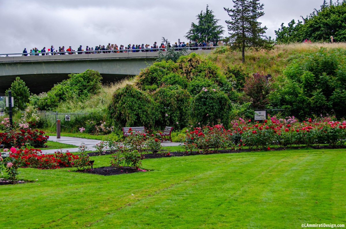 LAmmiraDesign's tweet photo. Running for #AhmaudArbery — shutting down the I-105 — view from the #OwenRoseGarden

#BlackLivesMattters #EugeneOregon #SilenceIsViolence #StopPoliceBrutality https://t.co/7XGlk4ri3S