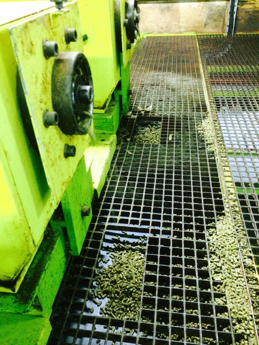 27t of high protein pellets for sale in Corwen North Wales available. Byproduct of <a href="/BlodynAur/">WELSH RAPESEED OIL</a> 

32% Protein
10% Oil
13.5 ME
62% D Value 

£210/T 

DM me