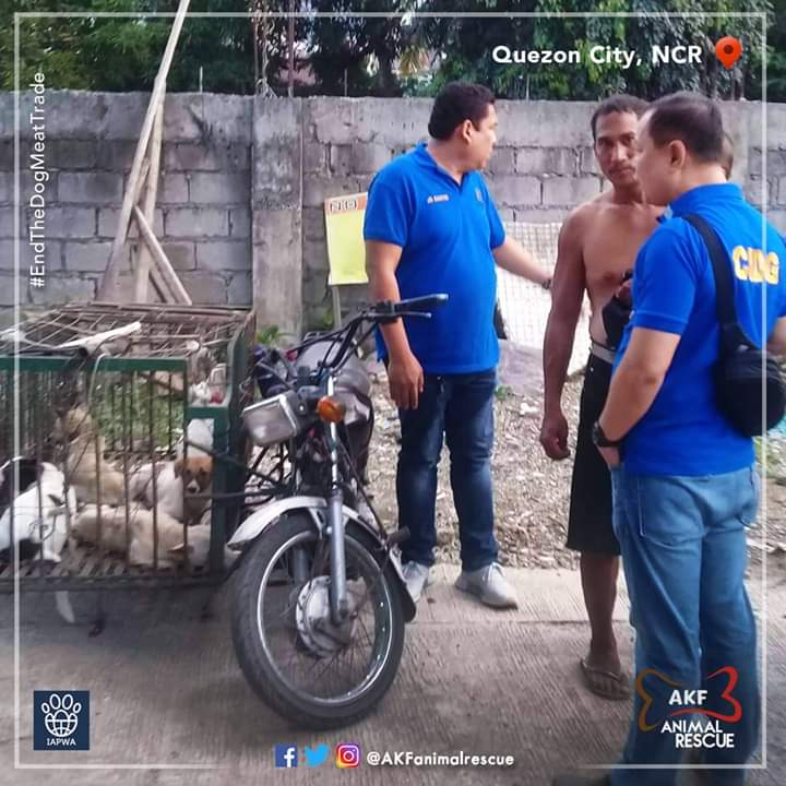 AKFanimalrescue's tweet photo. This raid was a year ago in Quezon City. 5 out 6 dogs rescued here are already adopted. Thank you to everyone who support our Rescue, Rehabilitate, Rehome program.
#EndTheDogMeatTrade #NoToDogMeat
#AKFanimalprotection https://t.co/j2ggLvqWnX