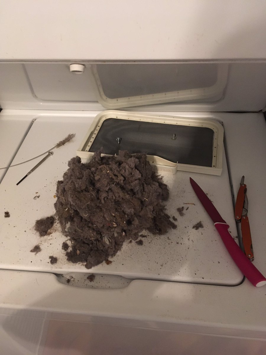 NormaEliseS's tweet photo. Was going to wash clothes but the washer smelled like feet🤮. Definitely recommend @ToughStains #OxiClean #WashingMachineCleaner  Then the dryer worried me cause I thought drying my clothes would make em smell like feet too, so I checked it... 😱😱 #newAPT #FunTimes https://t.co/EgWQVyfWOC