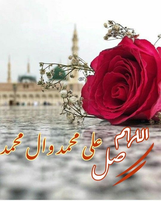 حـنـــين Auf Twitter اللهم صل على محمد وآل محمد اللهم اجعل لي من الصلاة على محمد وآل محمد حصنا وسورا وسدا منيعا اللهم ارفع عنا البلاء والوباء يا الله يارب Https T Co 2w57ij7eq6