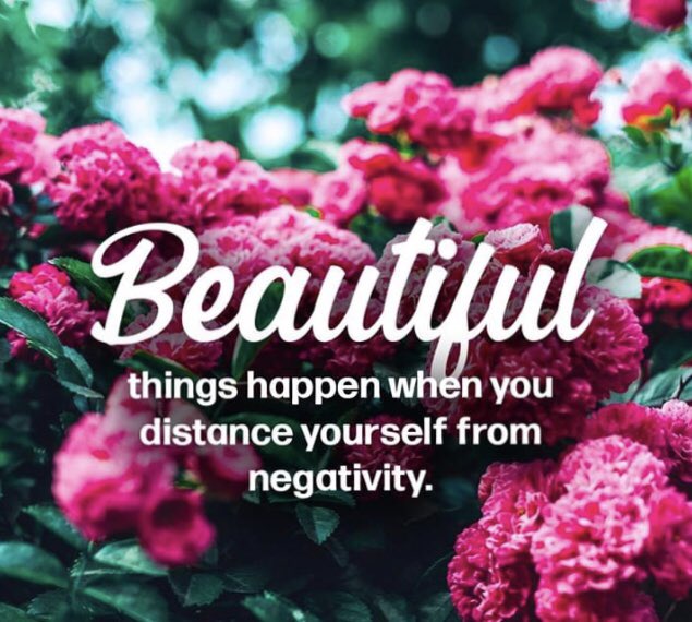 NzPositivity's tweet photo. #100positive https://t.co/ByeCa4Hn4V