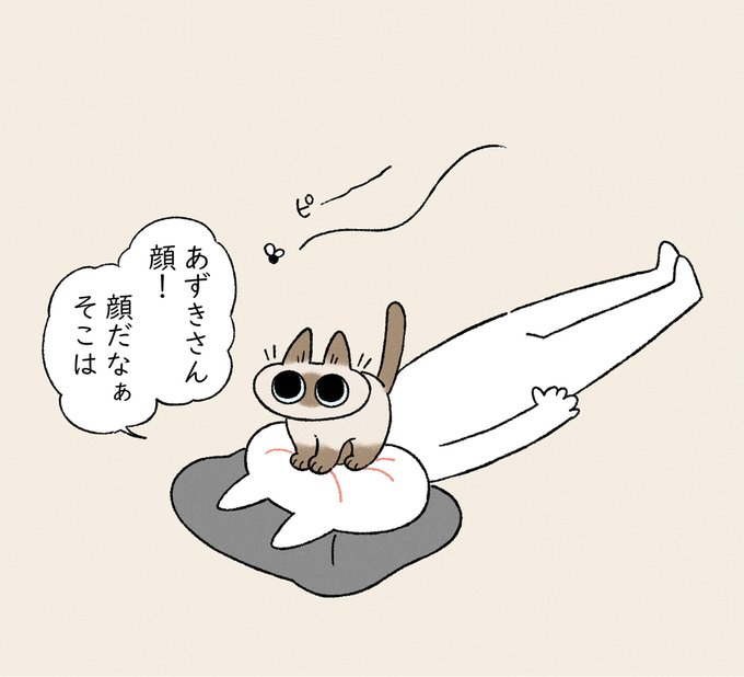どうやったら顔に乗らないようにしつけられますかね 