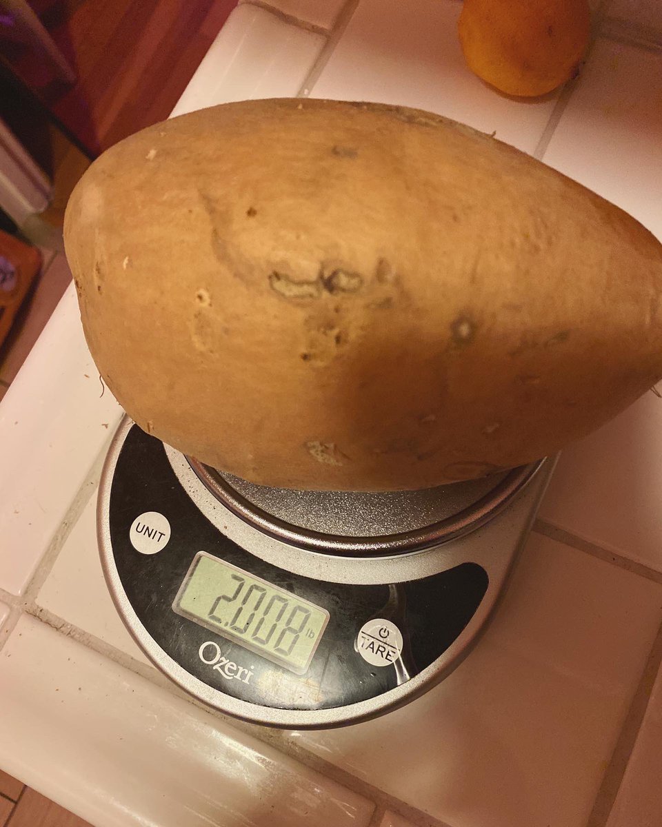 runongirlrunon's tweet photo. Iโve dubbed this beast from @imperfect_foods โUNITATOโ #unitato https://t.co/ONlv6xz8nB