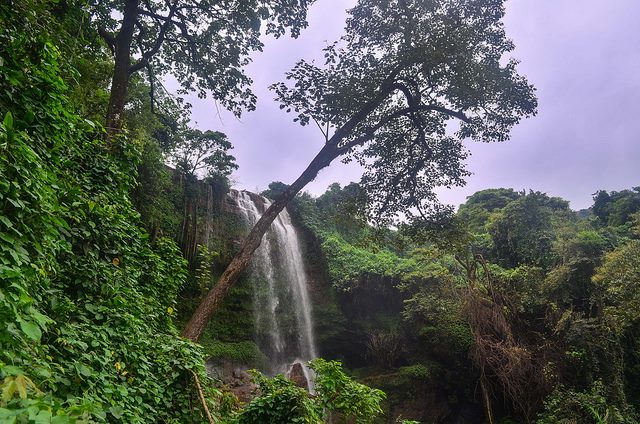 gampsonfranck's tweet photo. #Cameroun around Lake-Nyos Wum Befang
Mbo
➡😱🌇💚❤💛
Welcome to #Cameroon
#237DaysTrip
#J141
#suivezleguide @ckomentmagazine @AdaMbita @ChouchouMpacko
#totalchan2020 #NationBranding https://t.co/MIRyHaHffz